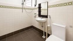 Spottiswoode Park (D2), Apartment #639055471